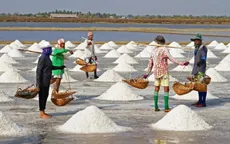 Ưu tiên tạm trữ muối tại địa phương tồn đọng