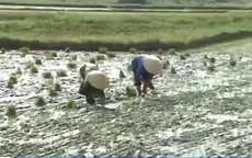 Cảnh báo nguy cơ đột quỵ chết người vì nắng nóng