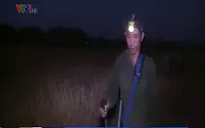Nông dân Nghệ An gặp khó khăn vì nắng nóng kinh hoàng