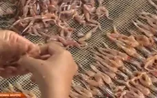 An Giang: Nhái nguyên liệu tăng giá