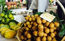 Xuất khẩu sang Mỹ 100 tấn nhãn Đồng Tháp