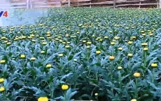Thí điểm dự án ứng dụng công nghệ trong quản lý nông nghiệp