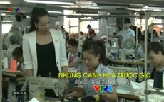 Những cánh hoa trước gió: 3 tháng ghi hình và những kỷ niệm khó quên