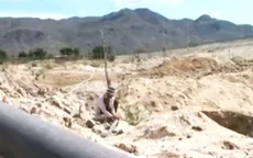 Người dân Ninh Thuận dồn sức chống chọi nắng hạn