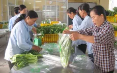 Hà Nội :Triển khai chuỗi cung cấp rau, thịt an toàn