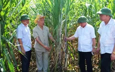 Nông nghiệp công nghệ cao - Giải pháp tăng hiệu quả kinh tế