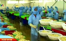Xu hướng DN đầu tư vào nông nghiệp