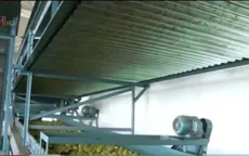 Brazil: Khuyến khích phát triển nông nghiệp hộ gia đình