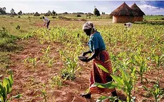 Zimbabwe: Người dân cắt bữa do thiếu lương thực