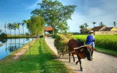 Sự chủ động của cấp ủy trong xây dựng nông thôn mới