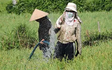 Nguy cơ thiếu nước tưới trầm trọng vụ Đông Xuân tại ĐBSCL