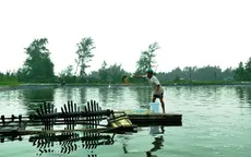 Quảng Trị: Nhiều người dân bỏ nghề nuôi tôm do dịch bệnh
