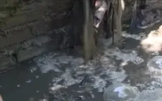 Hà Nam: Ô nhiễm môi trường từ chất thải chăn nuôi