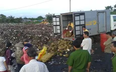 Đăk Lăk: Bắt quả tang một cơ sở dùng hóa chất ép chín sầu riêng