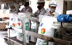 Chi phí sản xuất hóa chất, phân bón sẽ tăng 7% theo giá điện mới