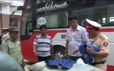 Quảng Nam: Bắt hàng chục bao tải hàng hóa trái phép