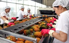 Xuất khẩu rau quả năm nay có thể đạt 2 tỷ USD