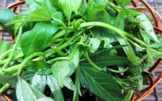 8 lý do bạn nên ăn rau lang