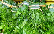 Rau Sắng - Đặc sản vùng đất Phật Hương Sơn