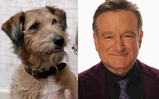 Cầu được ước thấy - Hé lộ vai diễn cuối cùng của Robin Williams