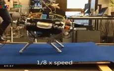 Chó robot có khả năng di chuyển trên mọi địa hình