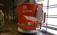 Robot vắt sữa bò làm việc trong trang trại