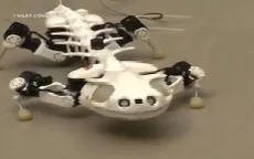 Pleurobot - Robot mô phỏng loài kỳ nhông