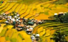 Ruộng bậc thang Cordillera: Điểm du lịch lý tưởng tại Philippines