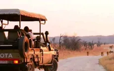 Săn bắn động vật hoang dã trở thành thú vui tại Zimbabwe