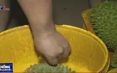 Đăk Lăk: Tiêu huỷ hơn 1.300kg sầu riêng nhúng hoá chất