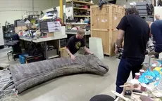 Tạo hình khủng long như thật trong Jurassic World