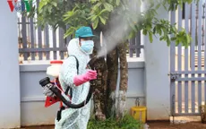 El Nino liên quan đến bùng phát dịch sốt xuất huyết tại Đông Nam Á