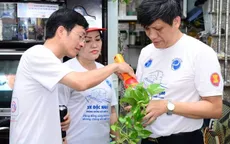 Việt Nam sẽ sớm có vaccine phòng ngừa sốt xuất huyết?