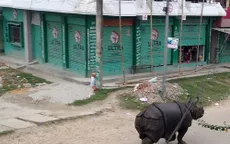 Tê giác tấn công người tại Nepal