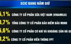 Chính phủ yêu cầu SCIC thoái vốn tại nhiều doanh nghiệp lớn