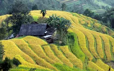 Hôm nay (24/9), bắt đầu Tuần Văn hóa du lịch Ruộng bậc thang Hoàng Su Phì