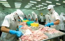 Việt Nam đứng trước nguy cơ mất thị trường xuất khẩu thủy sản