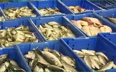 Giám sát dư lượng chất độc hại trong thủy sản nuôi