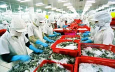 Báo động kiểm soát tồn dư hóa chất kháng sinh nuôi trồng thủy sản