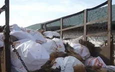 Bà Rịa - Vũng Tàu: Tiêu hủy hơn 40.000 con gà bị nhiễm cúm H5N1