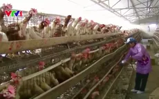 Vùng nông thôn Trung Quốc thoát nghèo nhờ dự án kinh tế hiệu quả