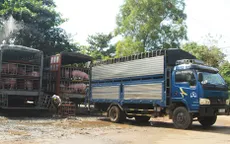 Điểm báo sáng 15/12: Trung Quốc ồ ạt thu mua heo
