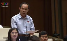 Vì sao số liệu trồng rừng giữa Bộ NN&PTNT và Bộ Công thương ‘nhảy múa’?