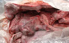 Hưng Yên: Bắt quả tang một xe chở gần 4 tạ lợn chết thối