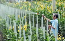 Tổ chức hội nghị tổng kết 5 năm xây dựng nông thôn mới