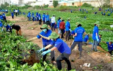 TP.HCM: Hơn 80.000 sinh viên tham gia chiến dịch Mùa Hè xanh