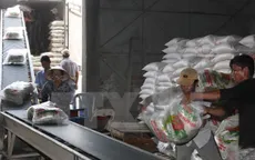 Xuất khẩu gạo 2015 của Việt Nam có khả năng đạt 6,8 triệu tấn