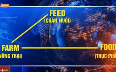 Từ trang trại đến bàn ăn - mô hình phát triển ngành chăn nuôi