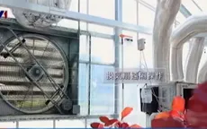 Ứng dụng điện toán đám mây trong nông nghiệp