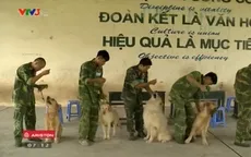 Trường dạy tiếng Anh dành cho chó cưng